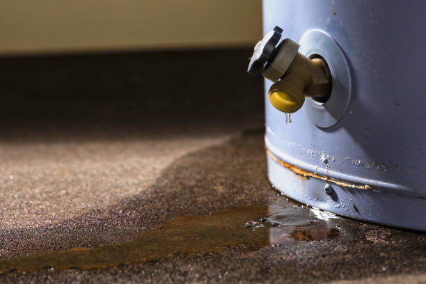 Best Water damage restoration company  in Port Richey, FL