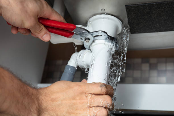 Best Water damage restoration near me  in Port Richey, FL