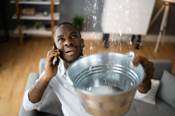 Best Professional water damage repair  in Port Richey, FL