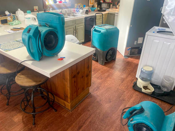 Best Ceiling water damage repair  in Port Richey, FL