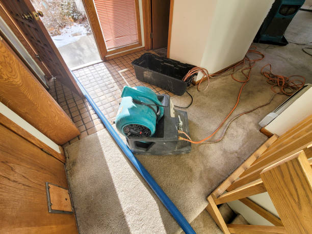 Professional Water damage restoration in Port Richey, FL