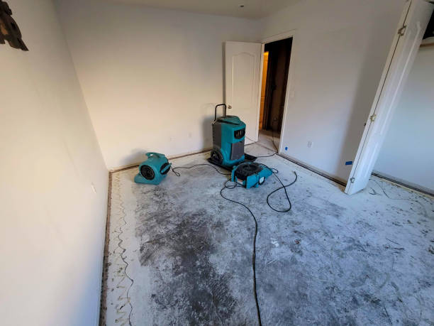 Carpet water damage restoration in Port Richey, FL
