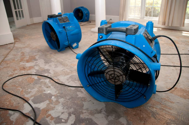 Best Flood damage cleanup  in Port Richey, FL