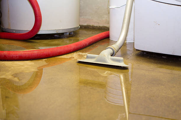 Best Carpet water damage restoration  in Port Richey, FL