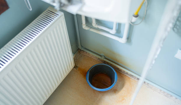  Port Richey, FL Water damage restoration Pros