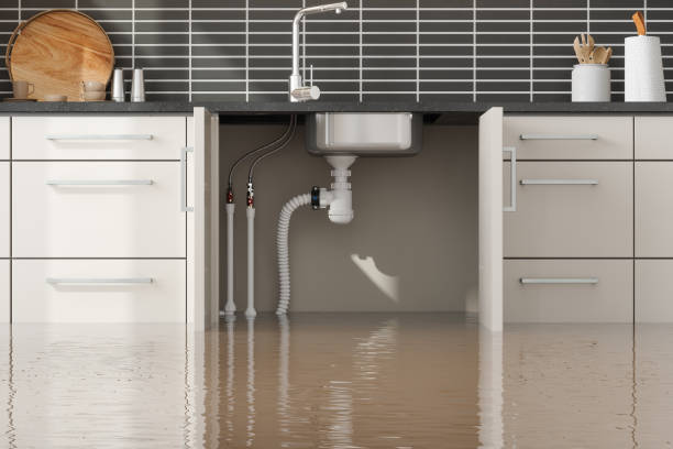 Best Residential water damage restoration  in Port Richey, FL