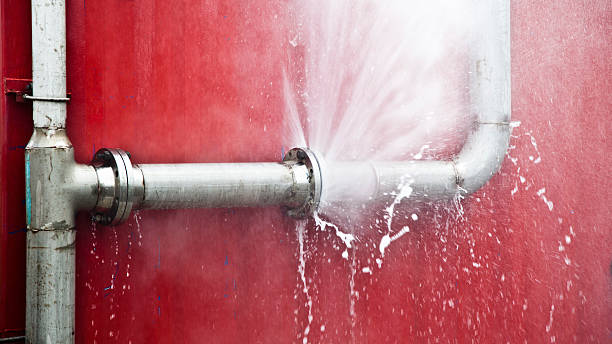 Best Flood restoration services  in Port Richey, FL