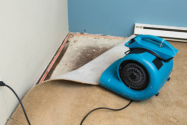 Fire Damage Restoration in Port Richey, FL