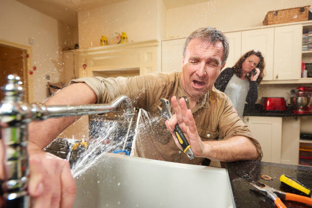 Best Water damage contractors near me  in Port Richey, FL